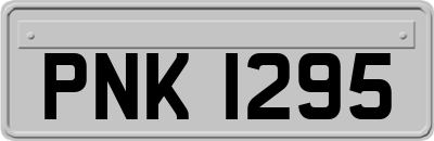 PNK1295