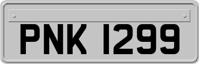 PNK1299