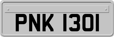 PNK1301