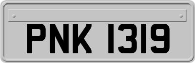 PNK1319