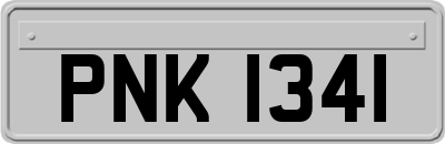 PNK1341