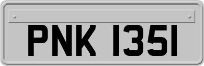 PNK1351