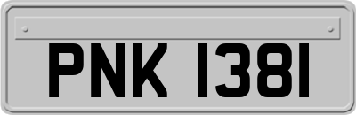 PNK1381
