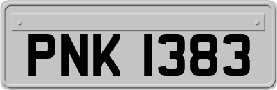 PNK1383