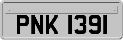 PNK1391