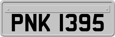 PNK1395