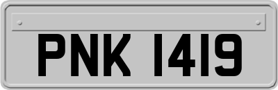 PNK1419