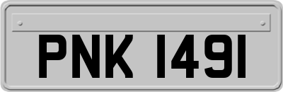 PNK1491