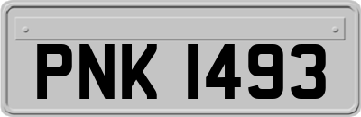 PNK1493