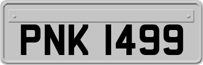 PNK1499