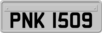 PNK1509