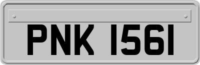 PNK1561