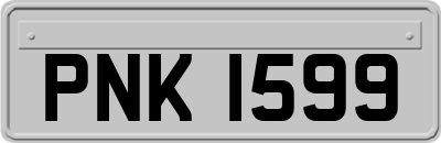 PNK1599