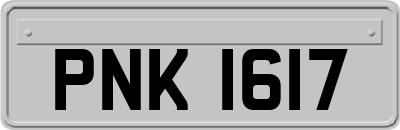 PNK1617