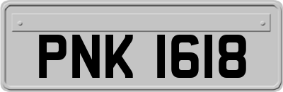 PNK1618