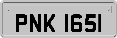 PNK1651