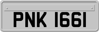 PNK1661