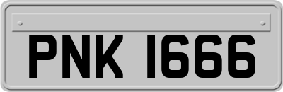 PNK1666