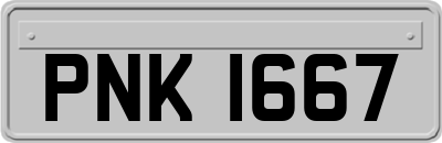 PNK1667