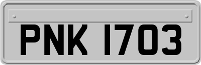 PNK1703