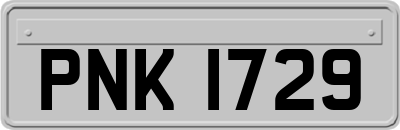 PNK1729