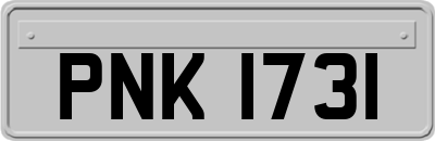 PNK1731