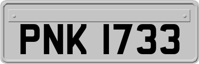 PNK1733