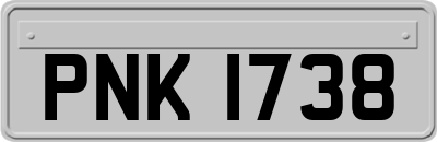PNK1738