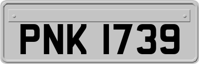 PNK1739