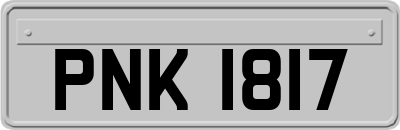 PNK1817