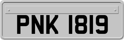 PNK1819