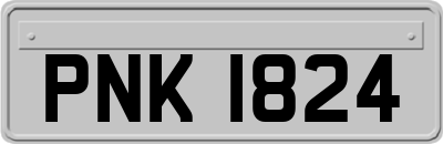 PNK1824