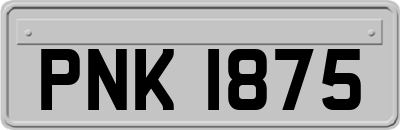PNK1875