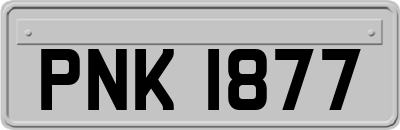 PNK1877
