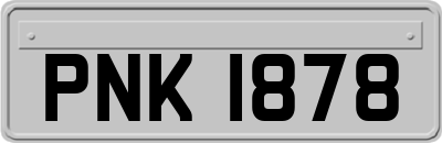 PNK1878