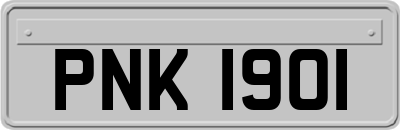 PNK1901