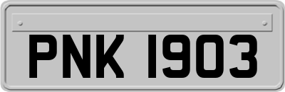 PNK1903