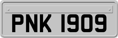 PNK1909