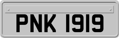PNK1919