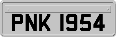PNK1954