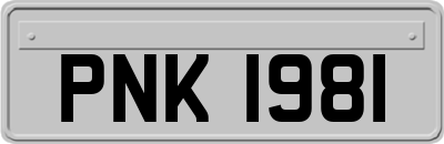 PNK1981