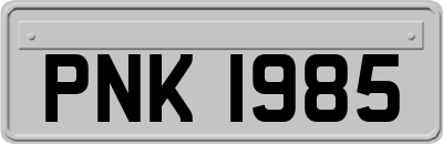 PNK1985