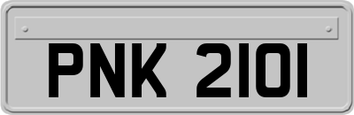 PNK2101