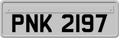 PNK2197