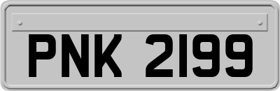 PNK2199