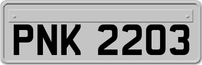 PNK2203
