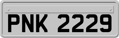 PNK2229