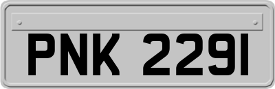 PNK2291