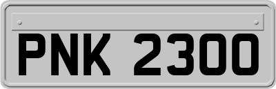 PNK2300