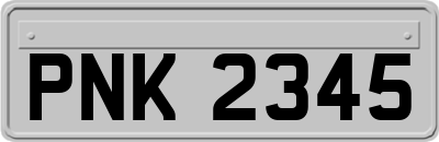 PNK2345
